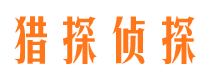 大安区市场调查